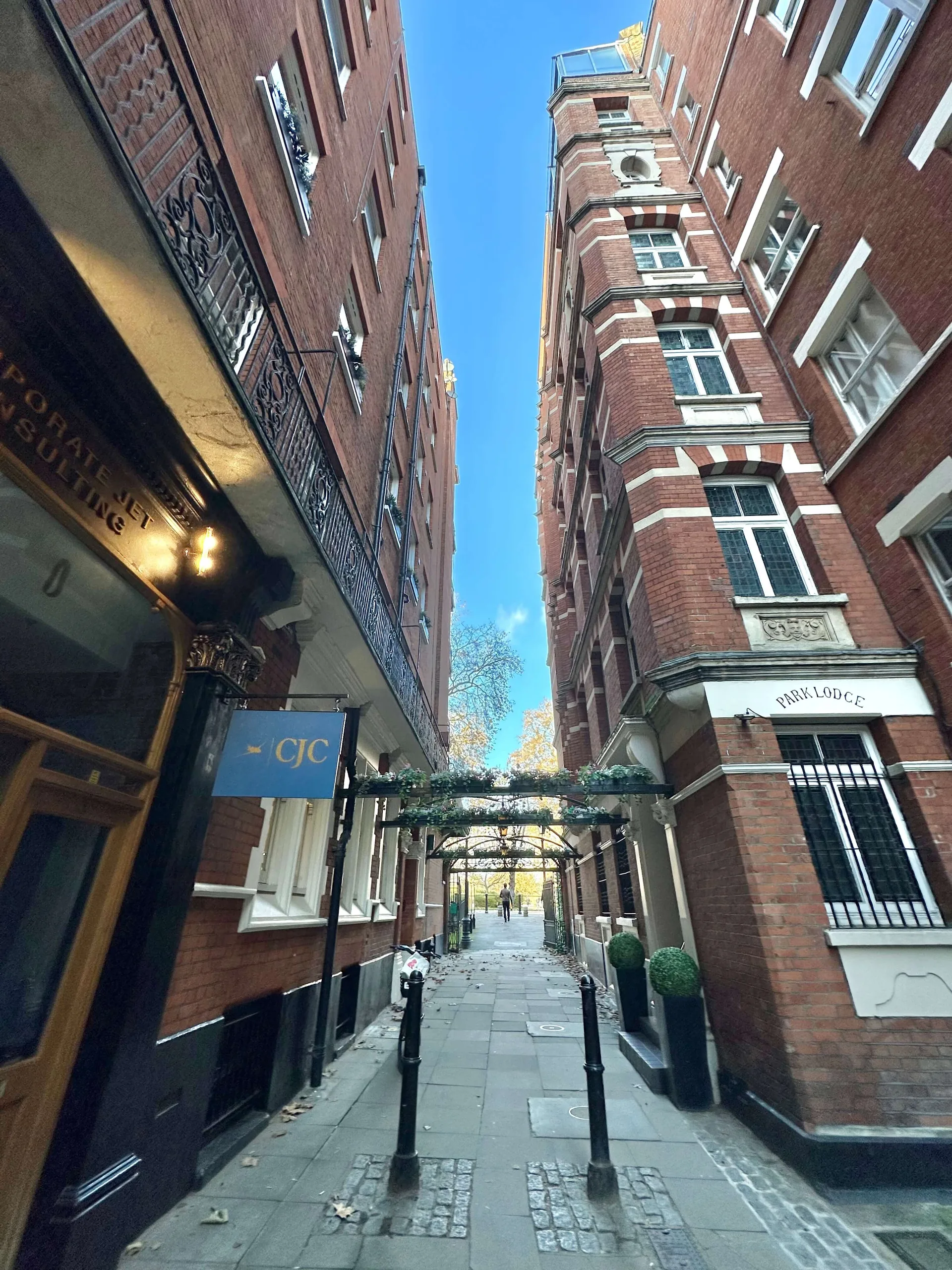 Osteria Romana - other photos - 8