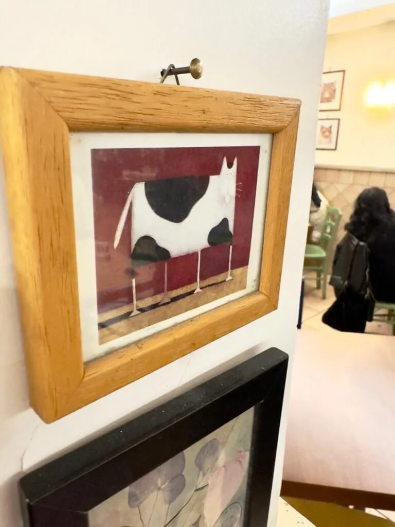 La Gatta Mangiona - other photos - 16