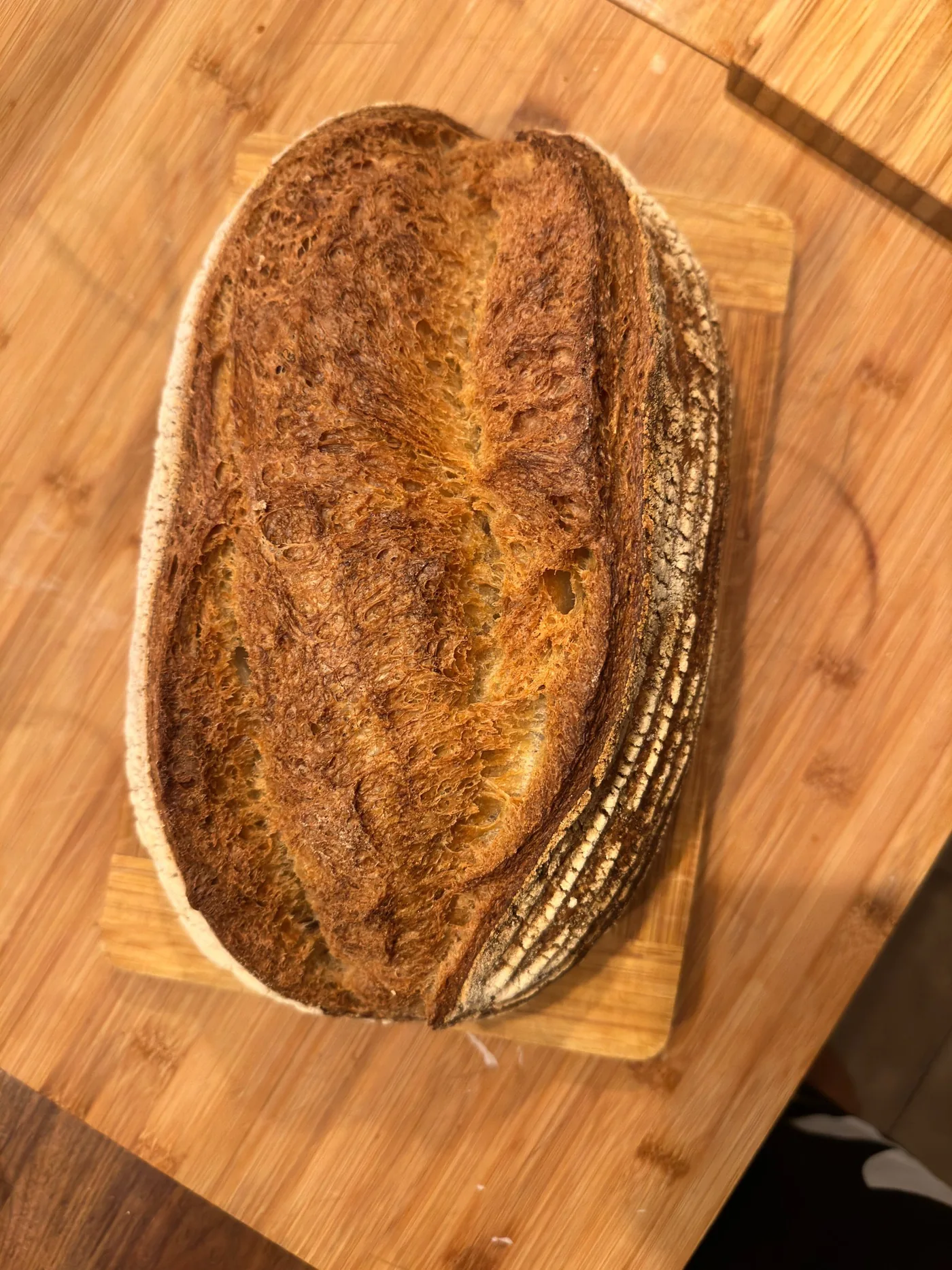 Lievito Francesco Arnesano - restaurant photos - 7